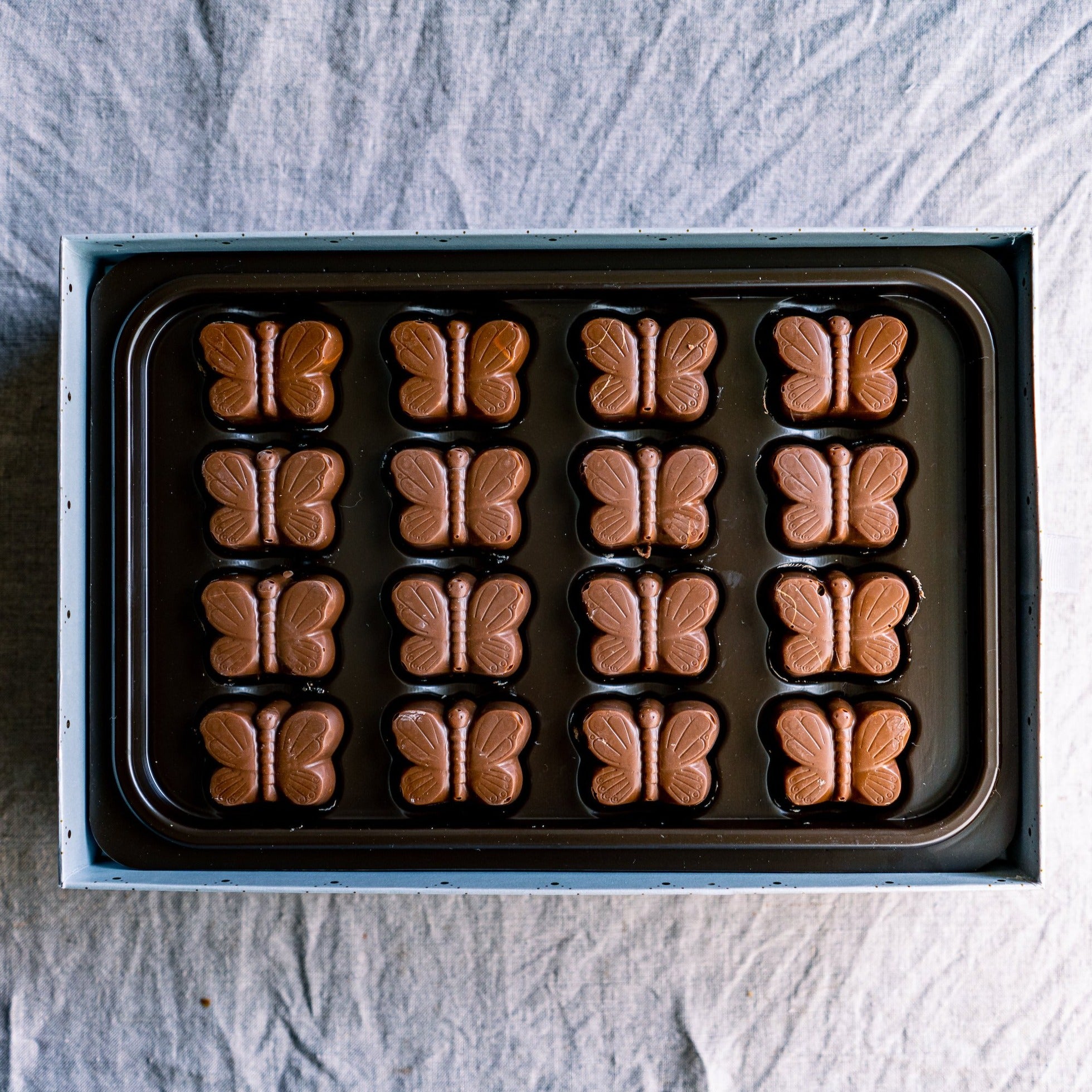 Mariposa chocolate de leche