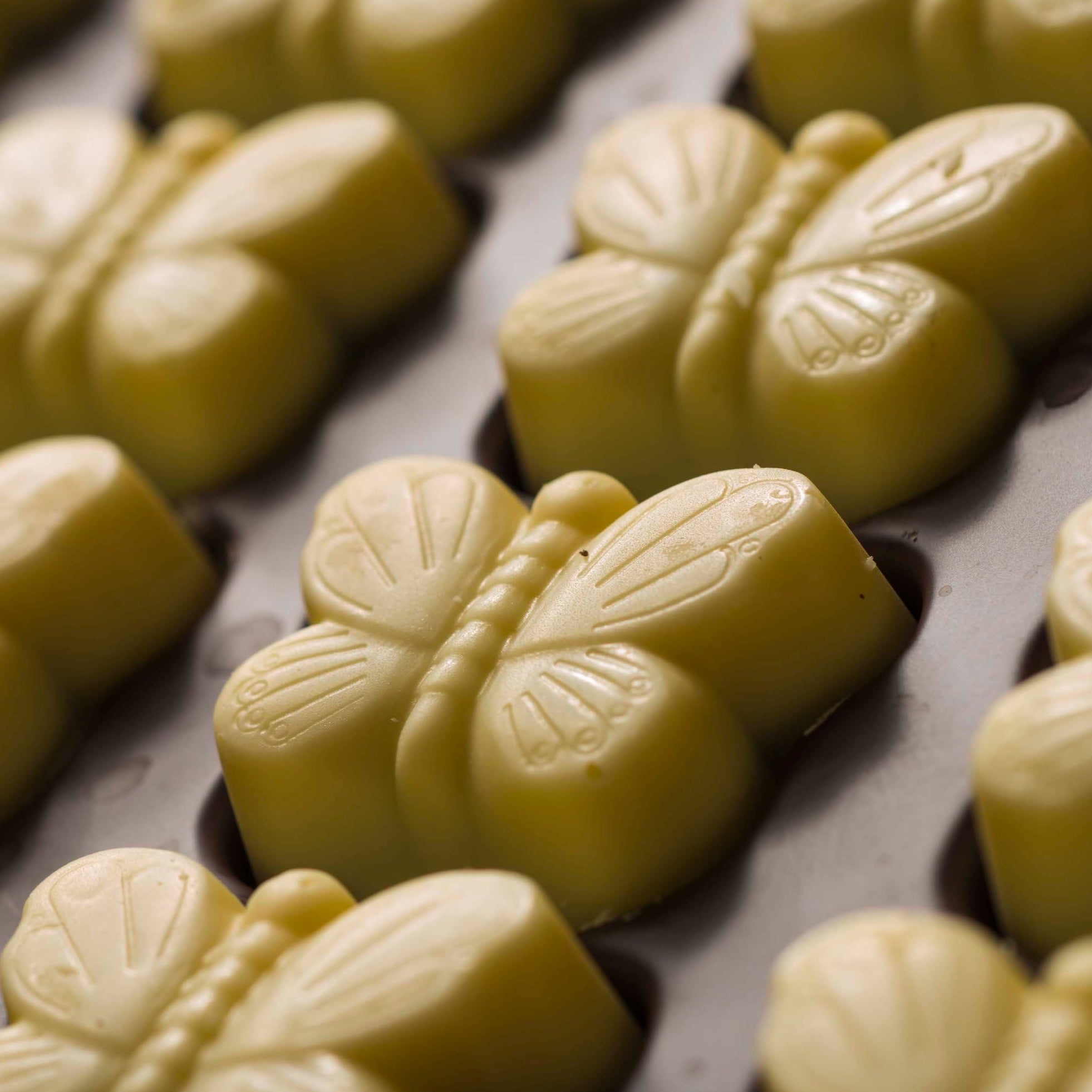 Mariposa chocolate blanco